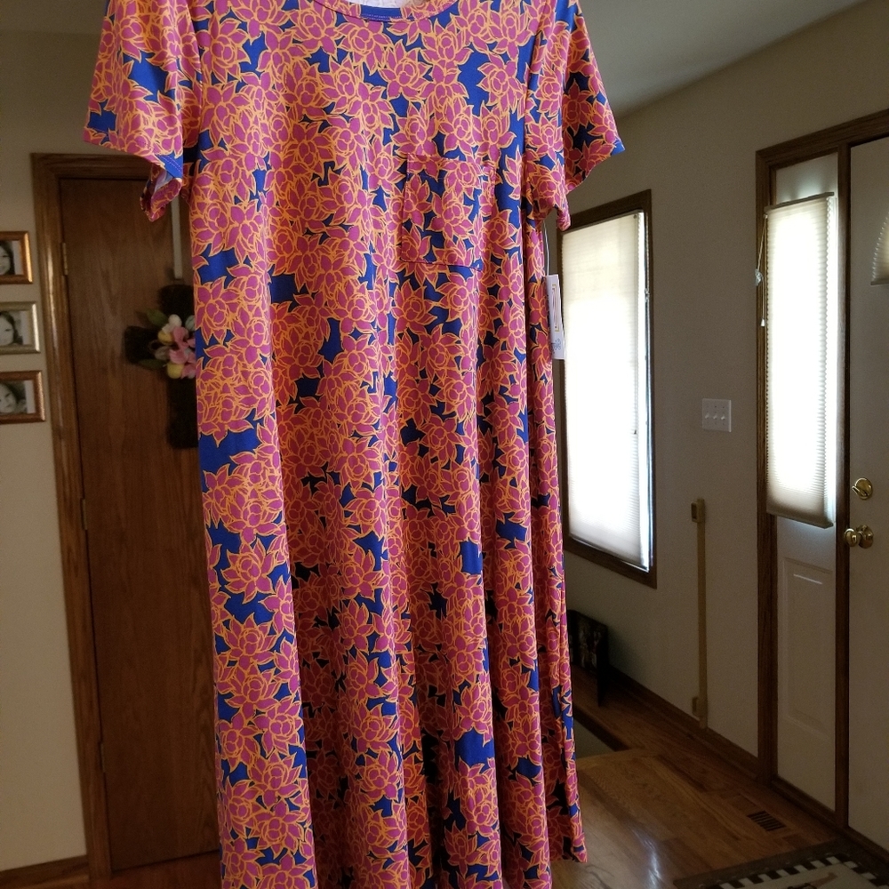 LuLaRoe Carly Swing dress
